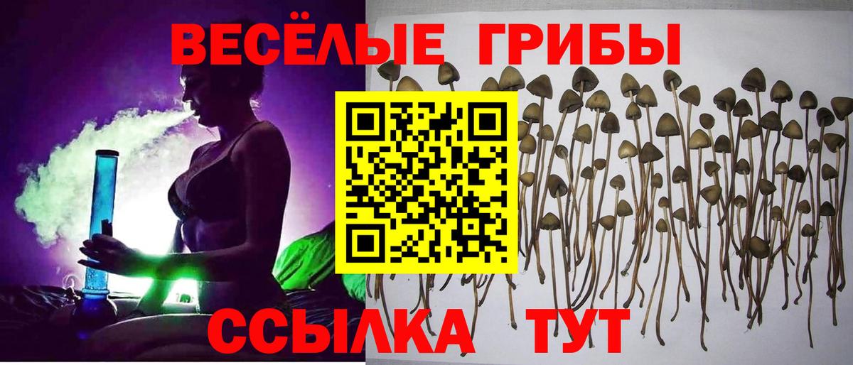 Галлюциногенные грибы Magic Shrooms  Псилоцибиновые грибы Cubensis  Вход с VPN  Среднеуральск 
