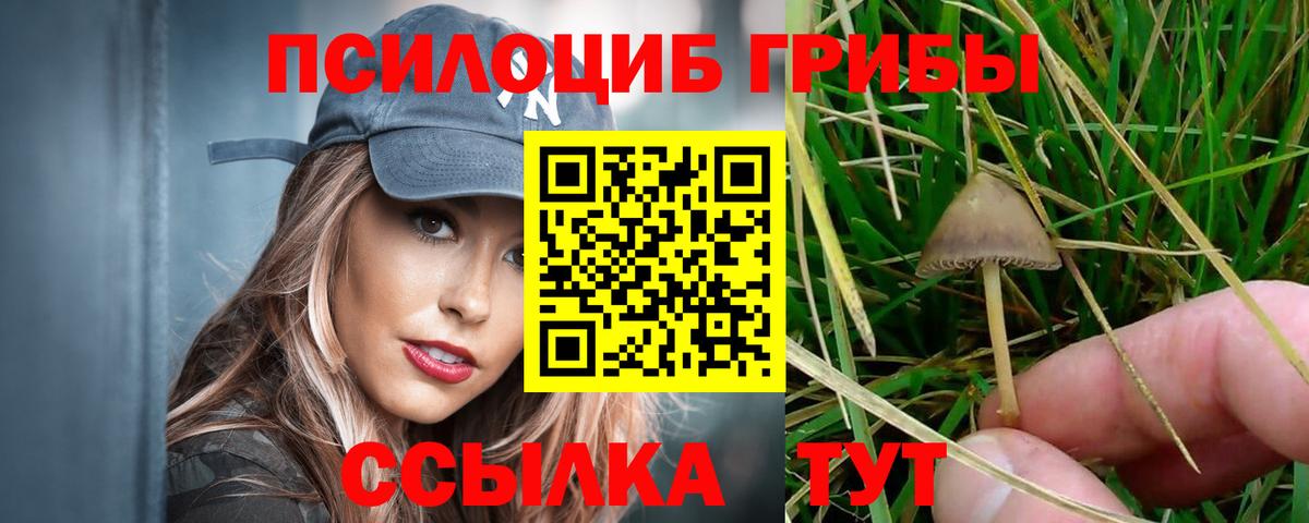 Галлюциногенные грибы мицелий Среднеуральск